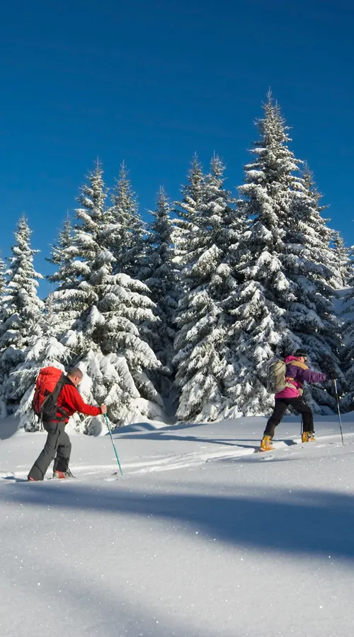 Des atouts touristiques inégalables